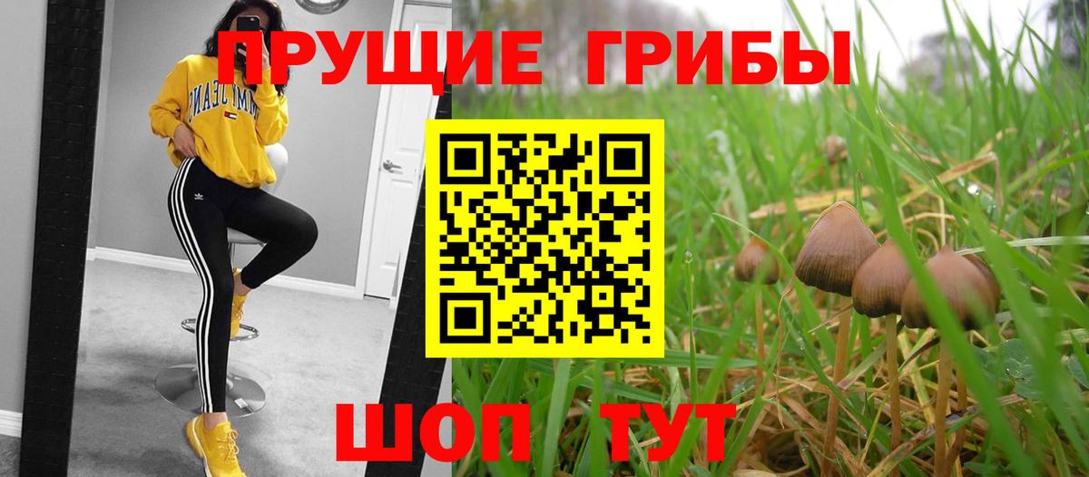 Галлюциногенные грибы Cubensis  Вход с VPN  купить наркоту  Гагарин 